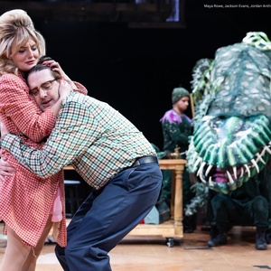 Review: LITTLE SHOP OF HORRORS at Marriott Theatre, Lincolnshire IL Photo