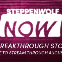 Steppenwolf NOW: 50% Off Six Groundbreaking Stories Photo