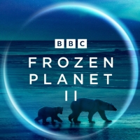 FROZEN PLANET II to Premiere on BBC in January Interview