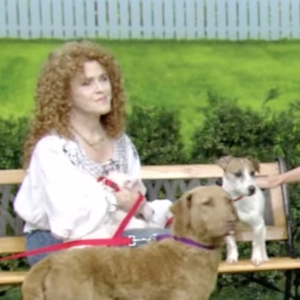 Video: Bernadette Peters Brings Adoptable Dogs to LIVE! for Broadway Barks