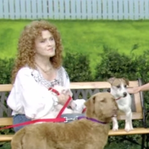 Video: Bernadette Peters Brings Adoptable Dogs to LIVE! for Broadway Barks Photo