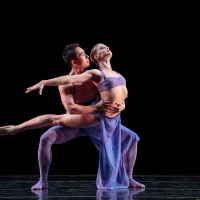 Smuin Offers Stanton Welch's INDIGO for Free Streaming in 'Hump Day Ballets' Series