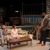 BWW Review: Dorothy Fortenberry's THE LOTUS PARADOX Weaves Humor and Drama in World P Photo