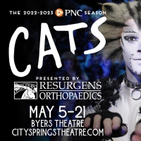 Broadway Legend Baayork Lee to Direct and Choreograph CATS at City Springs Theatre Co Photo