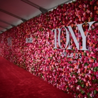 VIDEO: On the 2022 Tony Awards Red Carpet Photo