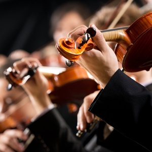 Broadway Musicians Union Local 802 Ratifies New Three-Year Contract Photo