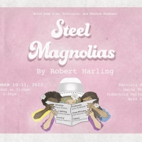 STEEL MAGNOLIAS Comes to the DeBartolo Performing Arts Center Next Month Photo