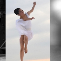 Nai-Ni Chen Dance Company Free Online Company Classes and DANCE FOR SOCIAL JUSTICE