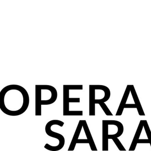 RPI And Opera Saratoga to Present THE OTHER SIDE OF SILENCE Photo