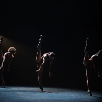 BWW Review: BWW REVIEW: COMPLEXIONS CONTEMPORARY BALLET BRINGS ITS FLAVOR TO THE…