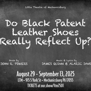 Review: DO BLACK PATENT LEATHER SHOES REALLY REFLECT UP? at Little Theatre Of Mechani Photo