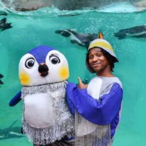 ONE TINY PENGUIN Will Open at Birmingham Hippodrome Photo