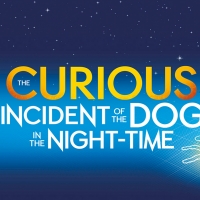 THE CURIOUS INCIDENT OF THE DOG IN THE NIGHTTIME to Play at New Stage Theatre