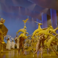 VIDEOS: Go Behind the Scenes of THE LION KING in New Educational Series