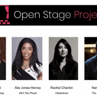 Open Stage Project Hosts Business Of Broadway Panel Video