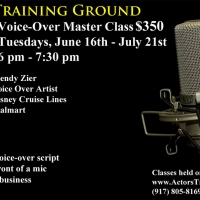 Actors Training Ground Presents Voice-Over Master Class With V.O. Artist Wendy Zier Photo