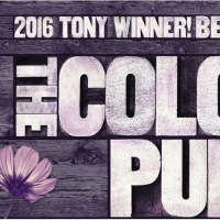 THE COLOR PURPLE On Sale At DPAC September 13th Video
