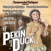 IF PEKIN IS A DUCK, WHY AM I IN CHICAGO? World Premiere to Open at Playhouse on the Square Photo