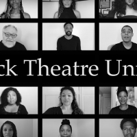 Several Broadway Stars Among Founding Members of BLACK THEATRE UNITED, A Coalition to Video