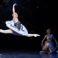 Review: CINDERELLA at the Artscape Photo