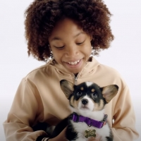 VIDEO: Watch the Music Video For Daveed Diggs' Hanukkah Song, 'Puppy For Hanukkah' Video