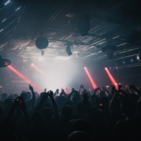 Gorilla Unveils Spring Series of Events with Gilles Peterson, Todd Terje & More Photo