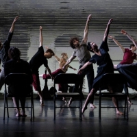 ZviDance Presents The World Premiere Of MIGRATIONS Photo