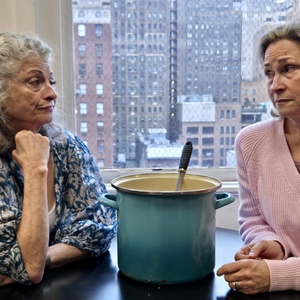 MARSHA BLOVOTNICK AND THE MARVELOUS MAGICAL CHICKEN SOUP is Coming to Theatre Ariel Photo