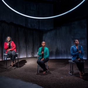 Review: NOTES FROM THE FIELD At TimeLine Theatre Company Photo