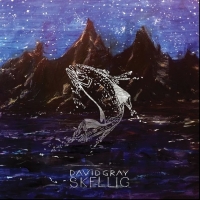 David Gray Releases 'Skellig' on Vinyl & CD Photo