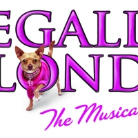 Get 25% Off Tickets to LEGALLY BLONDE at NTPA Repertory Theatre Photo
