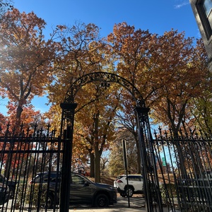 Student Blog: Falling Into Change Photo