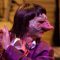 THE COMEDY OF ERRORS Takes The Stage Under The Stars This Summer