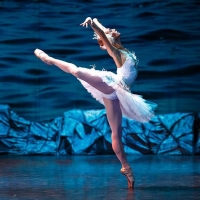 The Russian State Ballet & Opera House Presents SWAN LAKE at Venue Cymru in November Photo