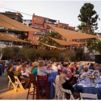 Catalina Museum Raises Nearly $500,000 at The Art Of A Rose Fundraising Extravaganza Photo