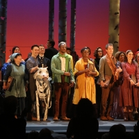 Encores! INTO THE WOODS Will Transfer to Broadway This Summer with Some Starry New Ca Photo