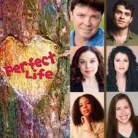 Industry Reading Of PERFECT LIFE, A New Musical Will Be Performed Next Week Photo