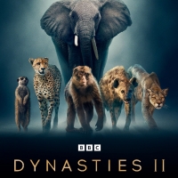 BBC America's Landmark Natural History Series DYNASTIES II Sets Return Photo