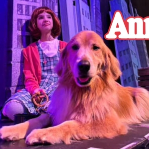 Review: ANNIE at Broadway Palm Photo