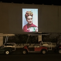 Catalina Island Museum Presents Frida Kahlo Projection Series Photo