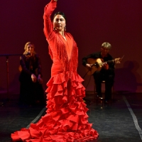 Compania Chuscales Presents MEMORIES OF DONA TULES - A Flamenco Tribute Photo