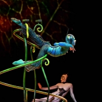 Two Cirque Du Soleil Shows Are Coming To Arizona For The First Time