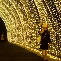 LIGHTSCAPE At Brooklyn Botanic Garden Open For The Holidays