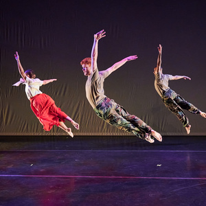 American Dance Guild And Clark Center NYC to Present THE POLITICS OF MOVEMENT Photo