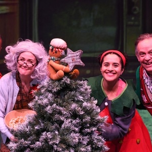 Review: 'TIS THE SEASON: HOMETOWN HOLIDAYS at B St. Theatre Photo