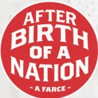 Smith Scripts Has Published David Robson's AFTER BIRTH OF A NATION Video