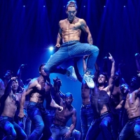 Show Of The Week: Exclusive Ticket Prices For MAGIC MIKE LIVE! Photo