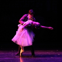 Atlantic City Ballet Presents DRACULA Photo