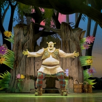 Tickets Go on Sale Friday For SHREK THE MUSICAL in Brisbane Photo