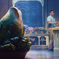 Photos: First Look at Conrad Ricamora as Seymour in LITTLE SHOP OF HORRORS